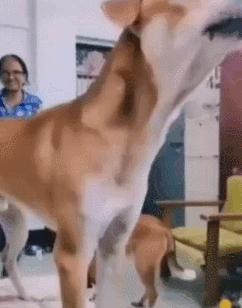 女厕的诡异之处,女厕所发现怪异男尸