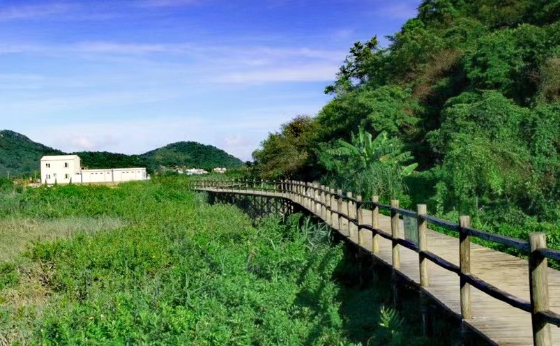 深圳十大必去的景点,深圳十大必玩景点排行榜