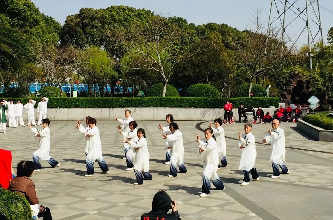 2023年“高东杯”龙身蛇形太极拳比赛在高东公园圆满举行