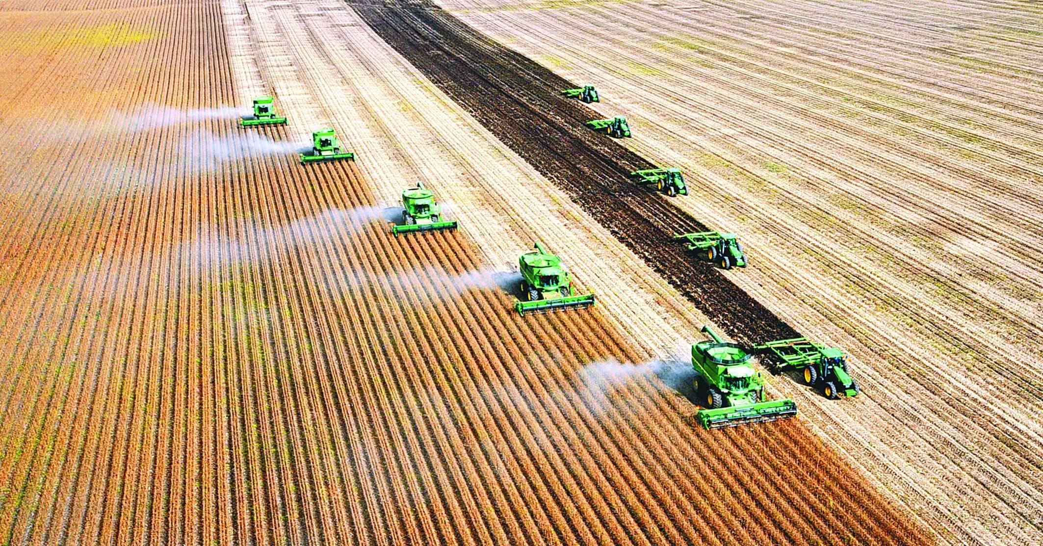 中国为什么要大量进口巴西大豆,巴西大豆出口量多于美国的原因