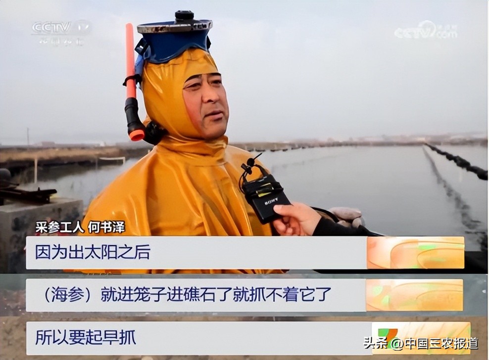 休渔期到来但这些海鲜仍可以选择,休渔期能实现海鲜自由吗