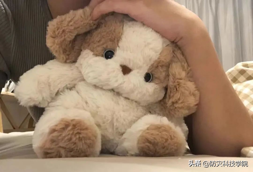 开学了看看你们的行李箱,开学指南之行李箱