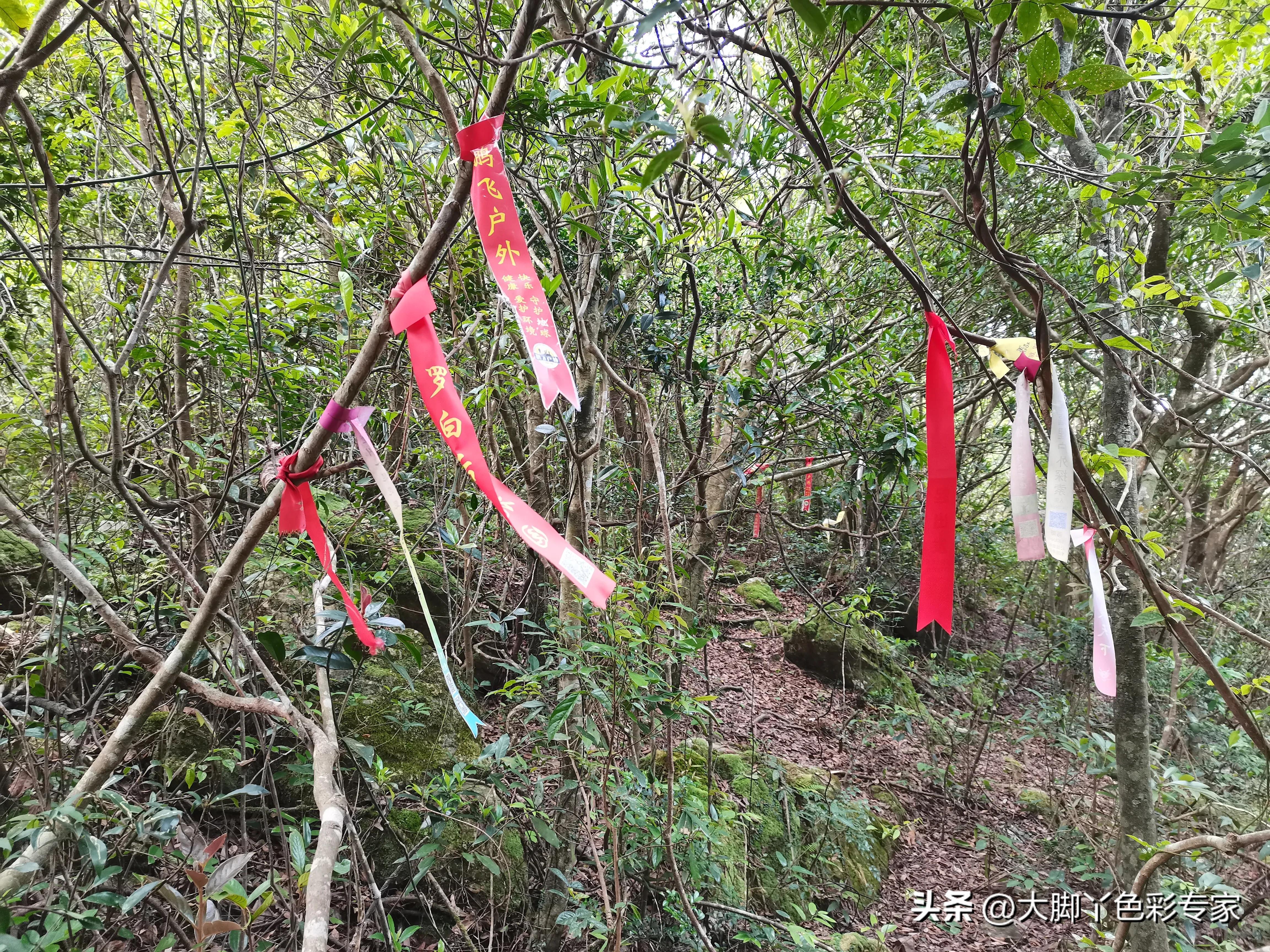 三刷最后结局是什么,三刷广州