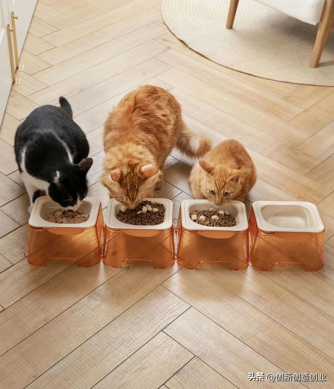 低碳环保我先行绘画,创意环保产品排行榜