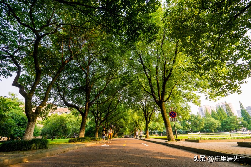 宁波大学和浙江工业大学哪个强呢,浙江高校排名浙江工业大学