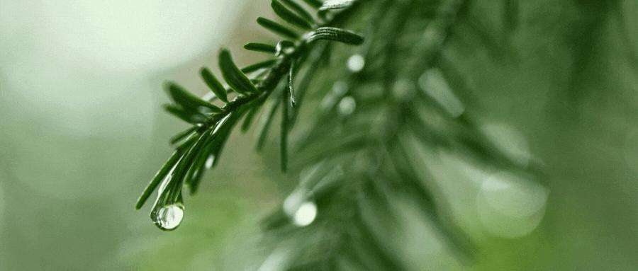 去中国化不停！美方对中国出口持续增加，我们买了美方什么东西