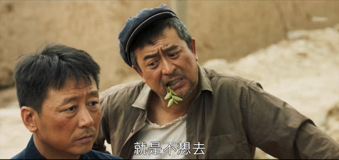 山海情等46部好剧入围,山海情成为2021年爆款剧的原因