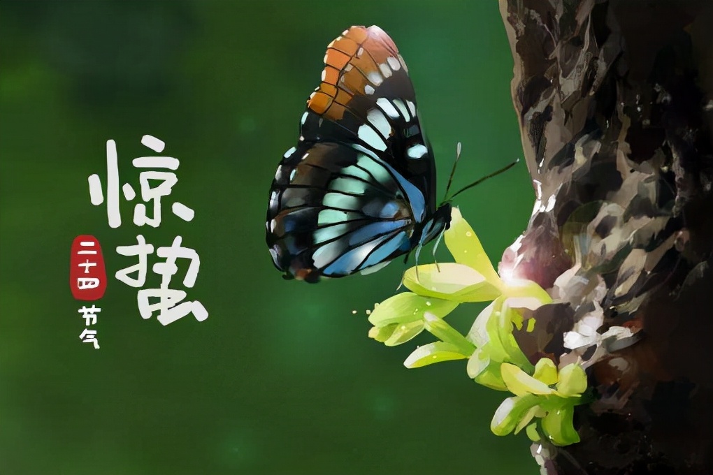 点亮睛彩世界,点亮世界