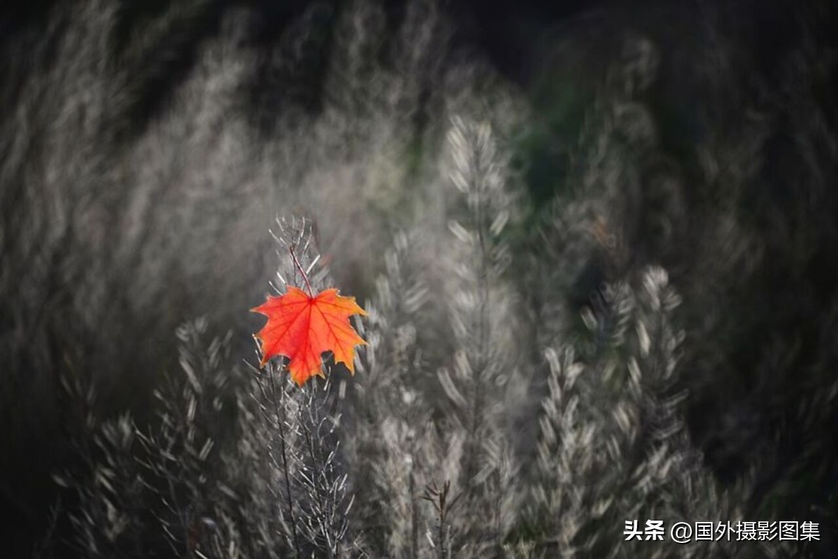 最美的景色秋天照片高清,夏天和秋天的绝美照片