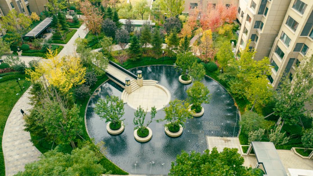 迭新什么意思,迭新是什么意思