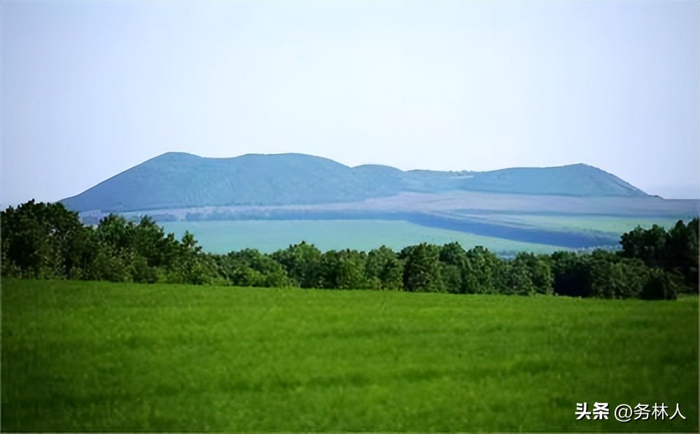 市县林业局所属机构怎么改,地市林业局机构改革