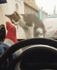 “24岁的女友发育成这样算正常吗？”哈哈哈朋友都说她是我兄弟！