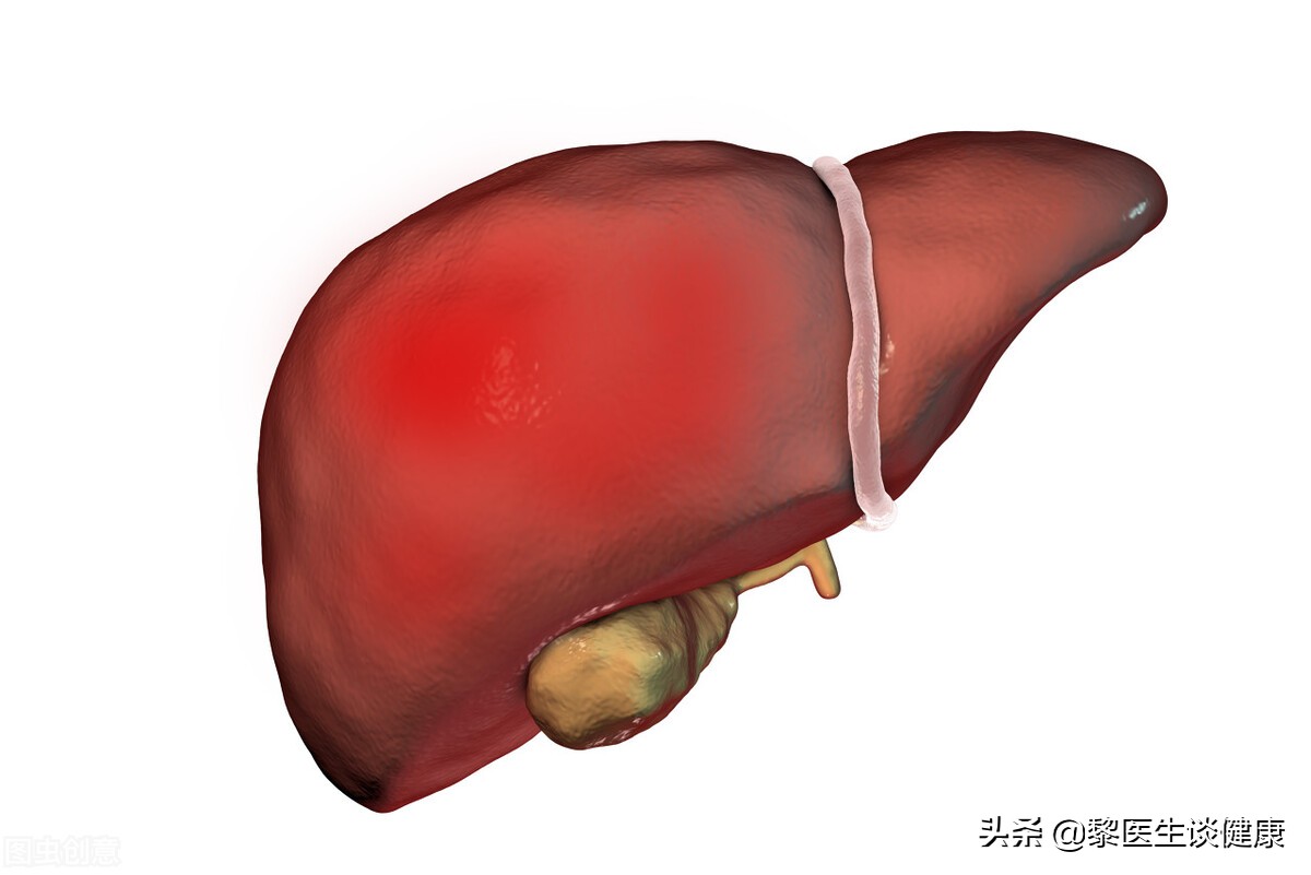 体检报告中的转氨酶是什么,体检报告转氨酶增高是什么意思
