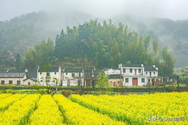 春雨惊春清谷天全诗解释,春雨里洗过的太阳