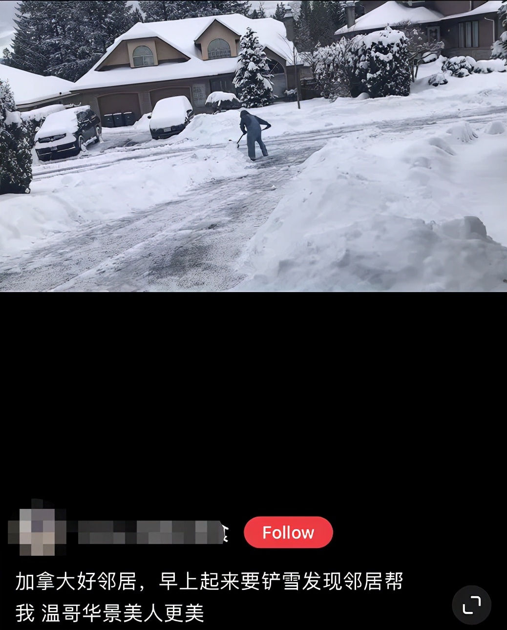 多伦多-20℃喜提2年最低温！今年加拿大天气太迷了