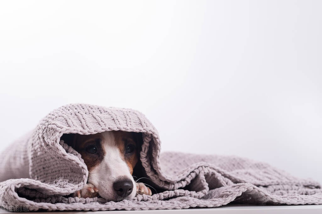 男士护肤品哪个牌子好,男士护肤品哪个牌子好知乎