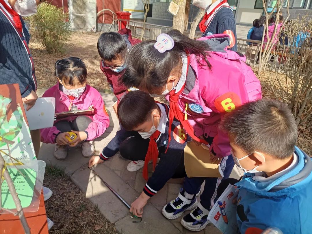 快乐与智慧同行——石家庄市新华区西三庄学校第二届数学节