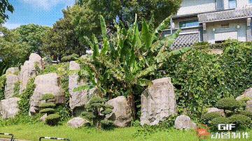 武汉梁子湖龙湾半岛度假沙滩,武汉度假村看海