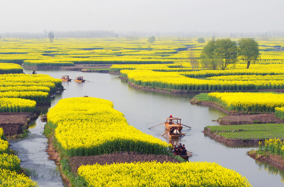 兴化城里钓鱼的地方,兴化钓鱼的地点有哪些景点