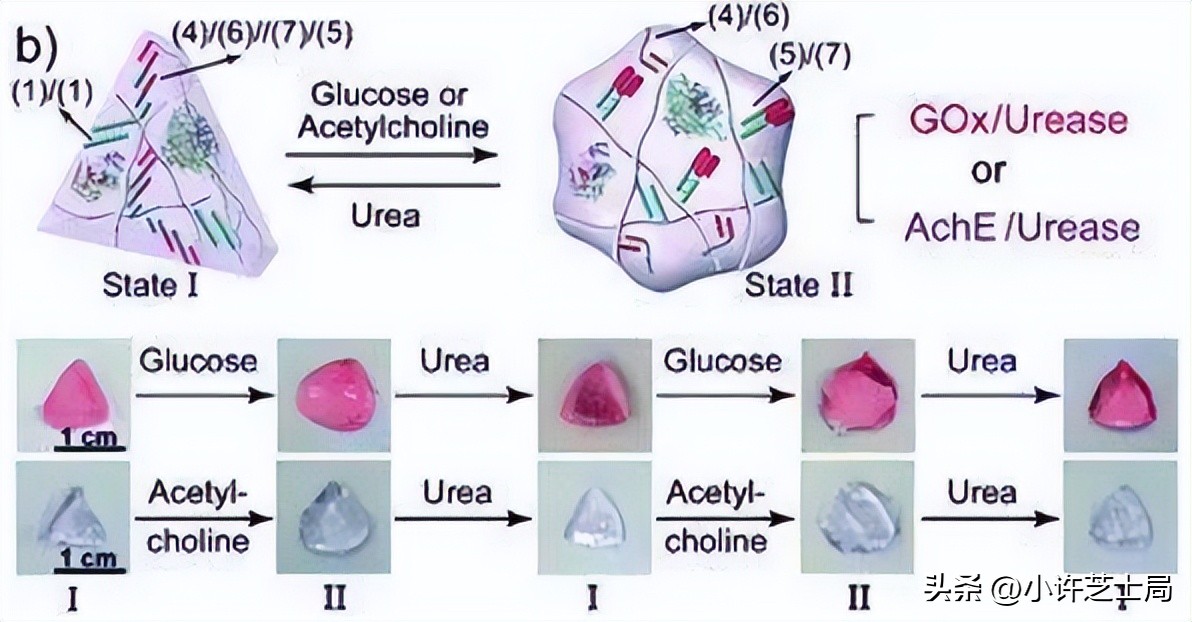 戊唑醇与磷酸二氢钾混用控旺吗,戊唑醇与磷酸二氢钾一起用吗