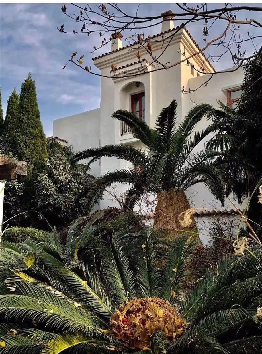 上海碧云维诗凯亚新房,浦东碧云社区维诗凯亚