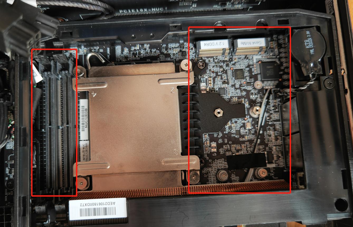 从野兽开始无限升级进化,从野兽开始升级