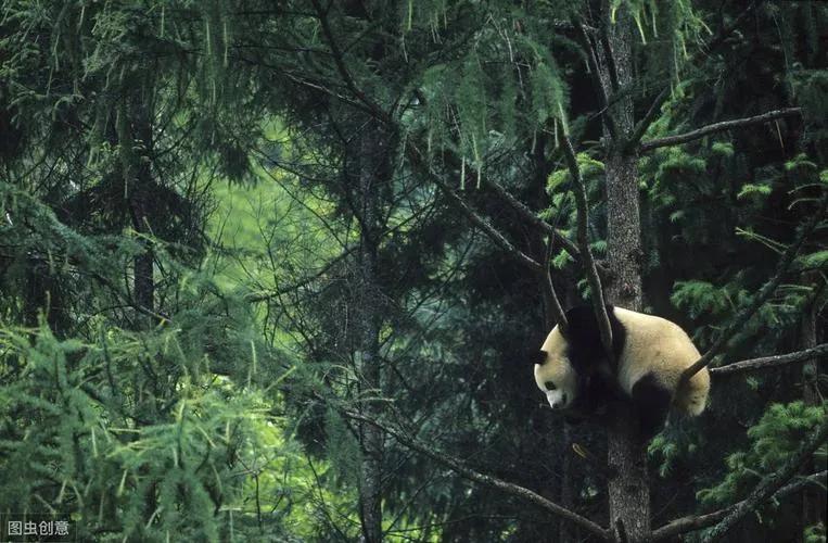 四川阿坝州的景点地图,四川阿坝甘孜旅游地图