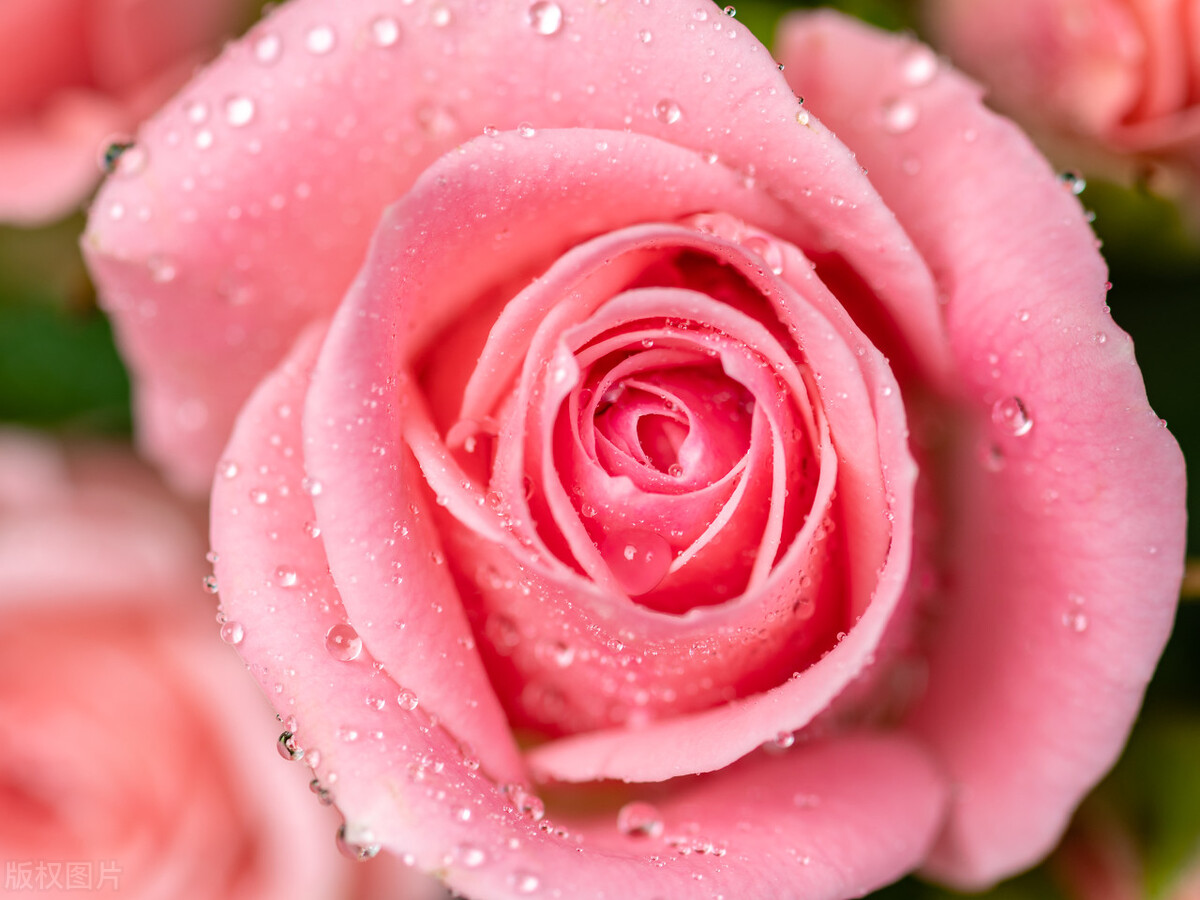 青岛卖文玩的地方在哪儿,青岛文玩市场推荐店有哪些