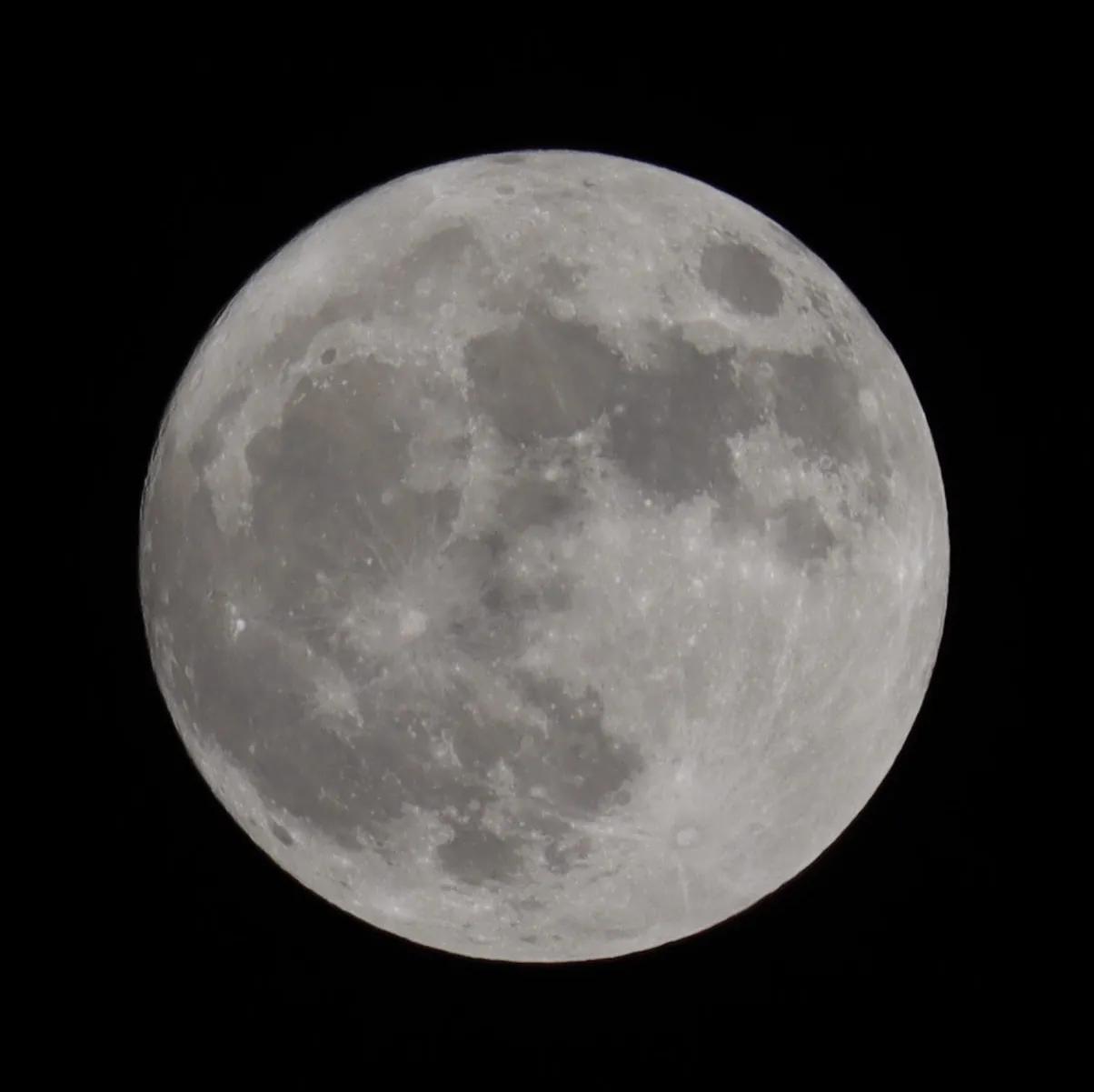 摄影小白需要买哪些装备,摄影小白买多少钱的相机