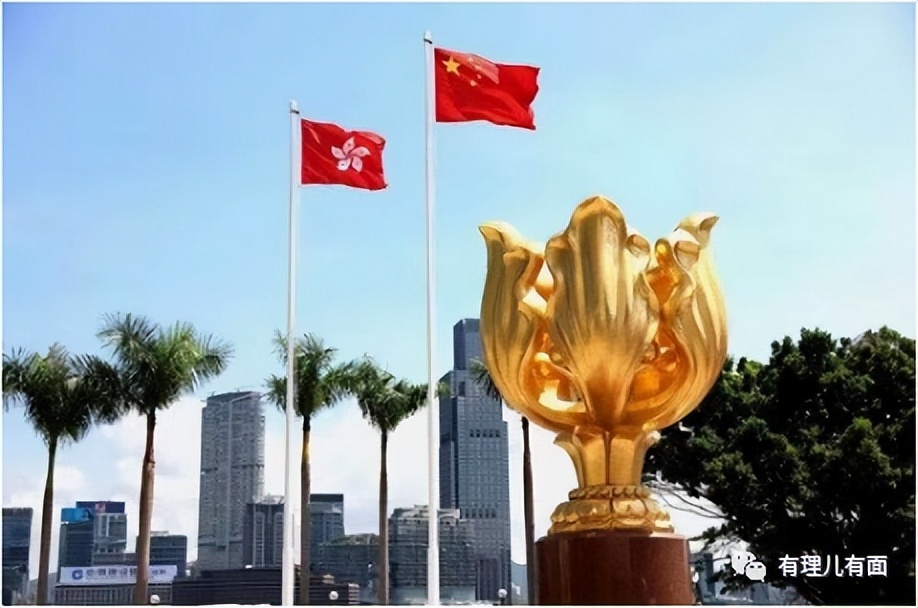 香港体育团体,香港体育协会是什么机构