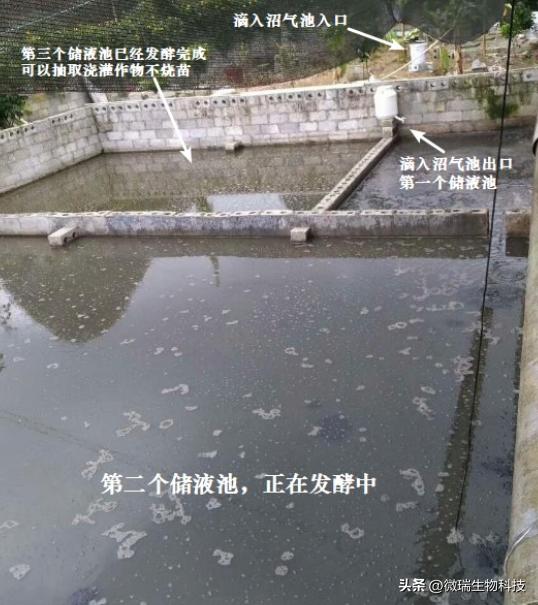 养猪场臭气怎么解决,猪舍臭气治理