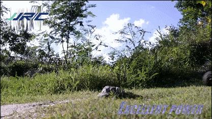 性价比和性能兼备的车,最值得入手的五款便宜rc遥控车