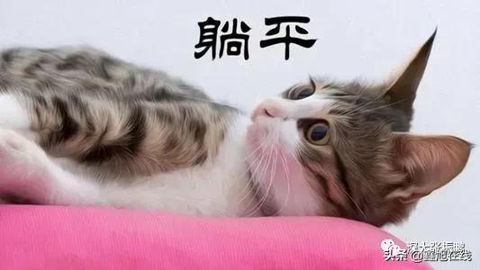 发布2021十大网络流行语,2021年网络十大流行语的特点