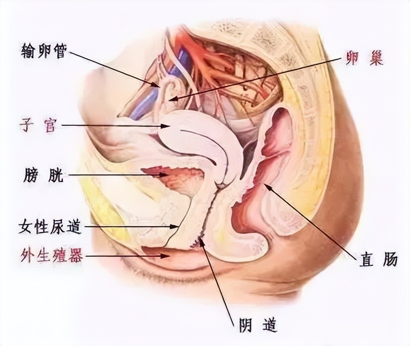 白带异常、外阴痒，难以启齿的阴道炎怎么治？