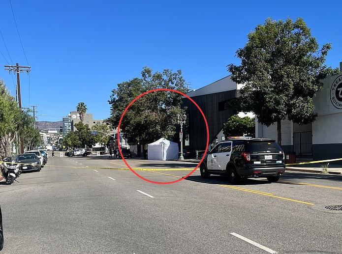 好莱坞明星死于车祸,好莱坞传奇影星去世