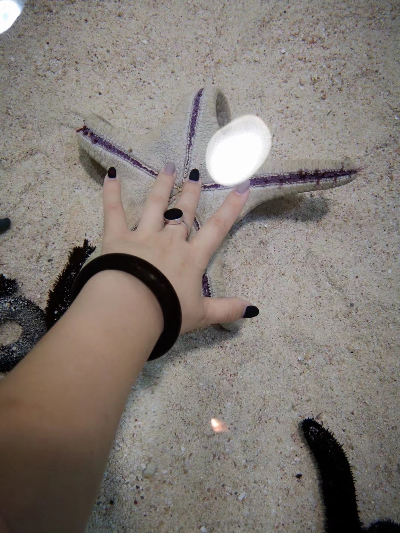 暑期档2019年,2019年暑期档