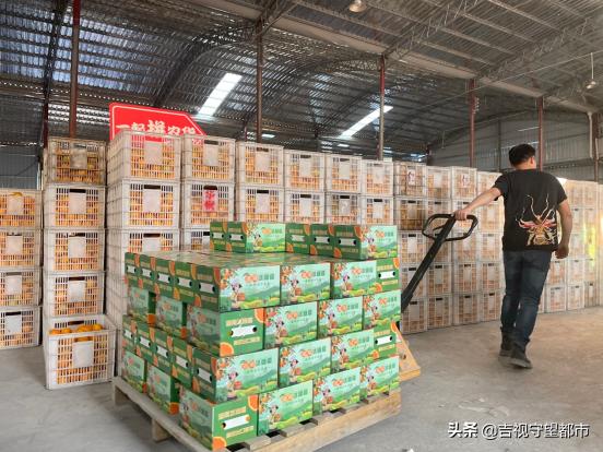 麻阳冰糖橙产业电商,中国冰糖橙之都麻阳宣传视频