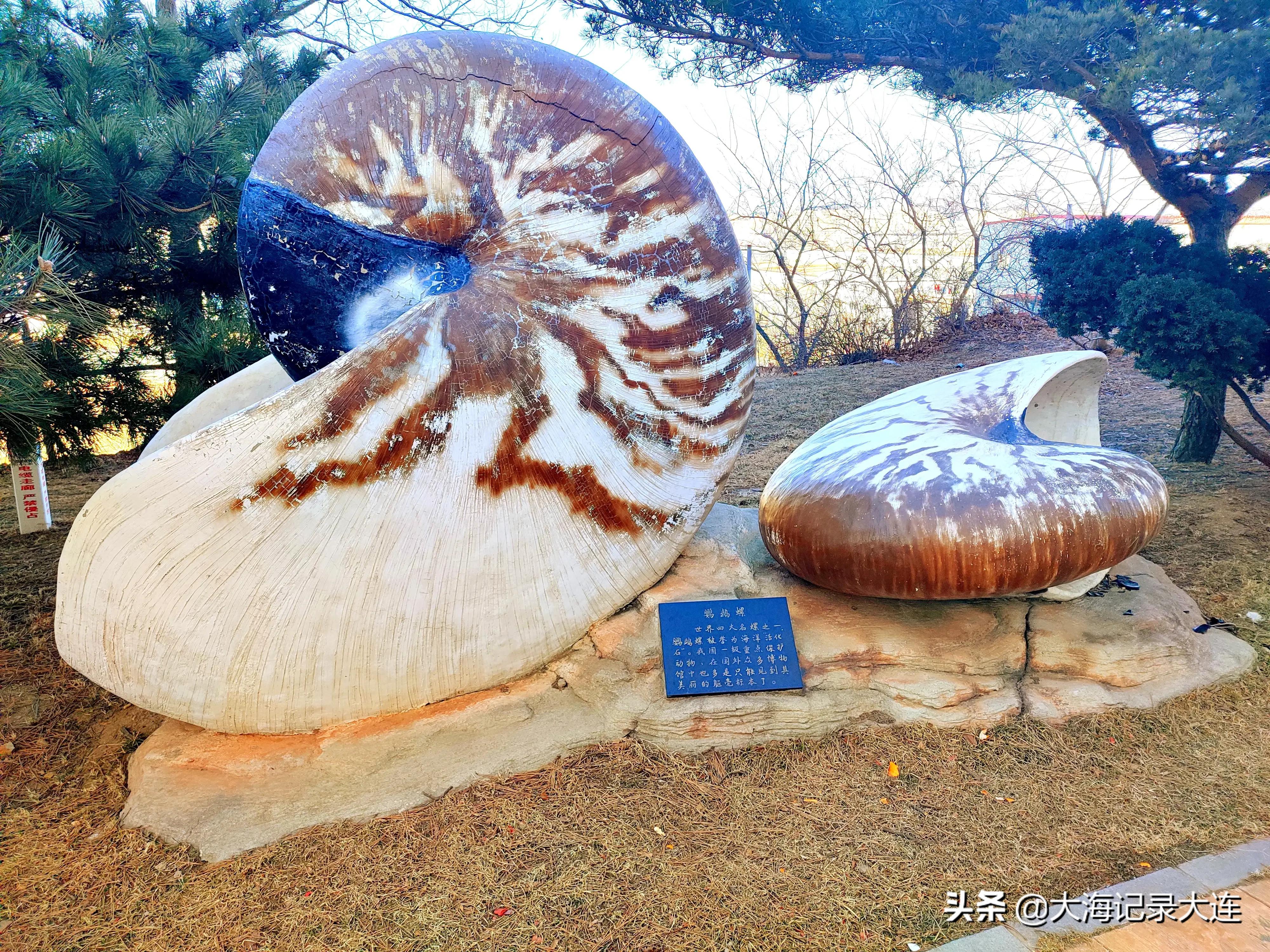 大连唯一以象棋博弈为主题的公园，投资260余万，就在旅顺开发区