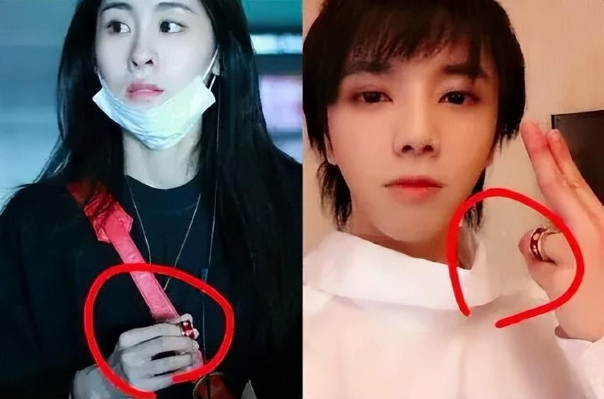 以为是假新闻其实是真新闻,撒贝宁郭京飞郭麒麟