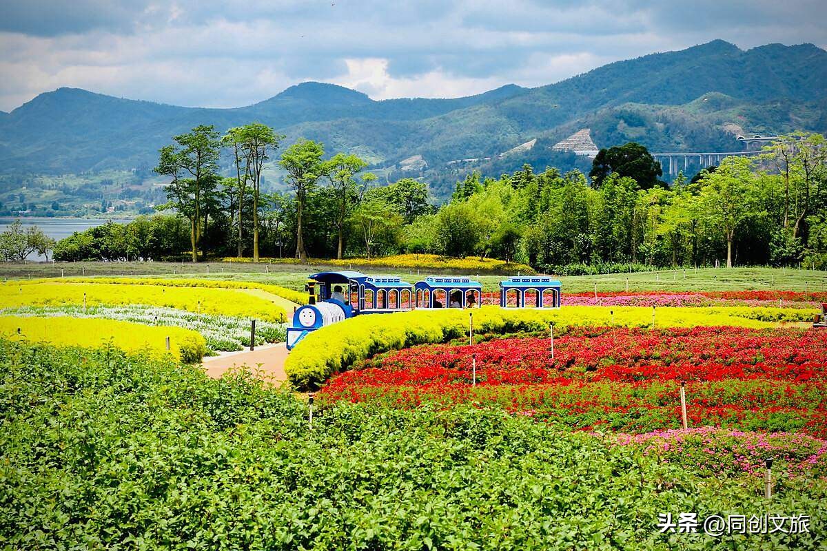 农庄如何能够实现小成本大盈利？还得看这几点......