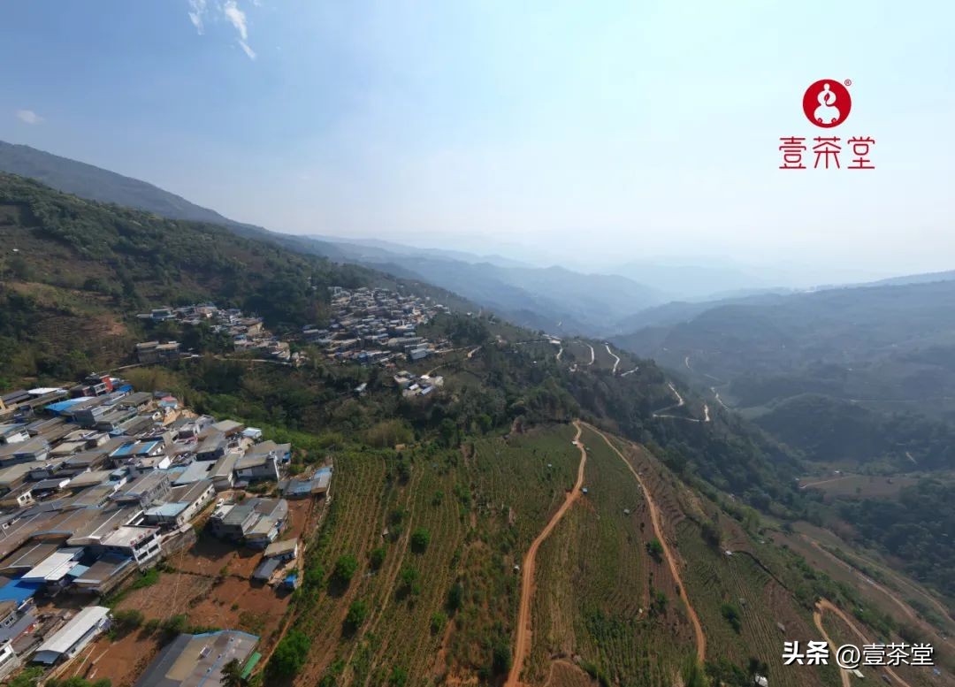 探茶源,临沧最顶级的普洱茶产区