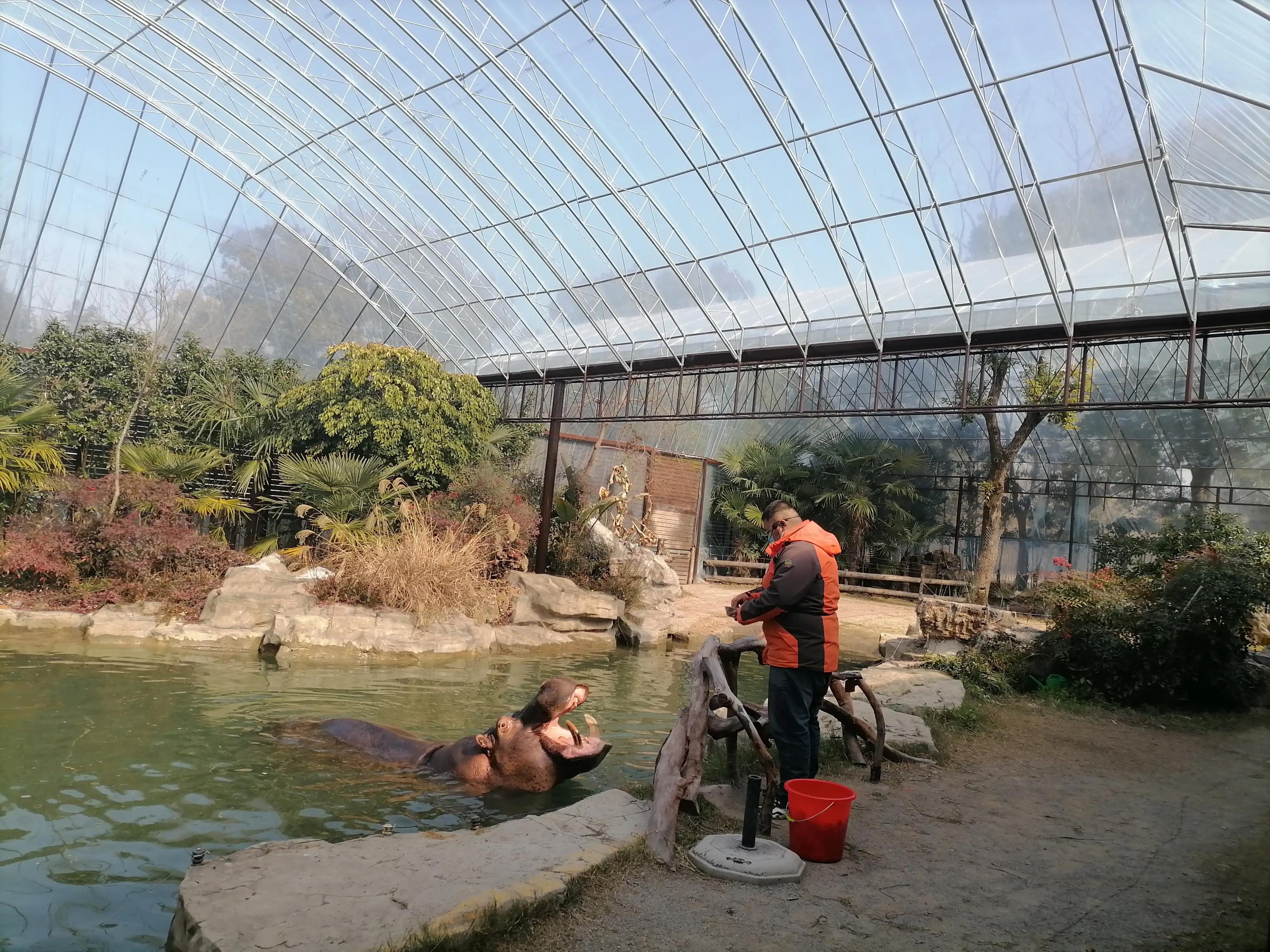 上海去大明山三日游,最新上海三日游攻略