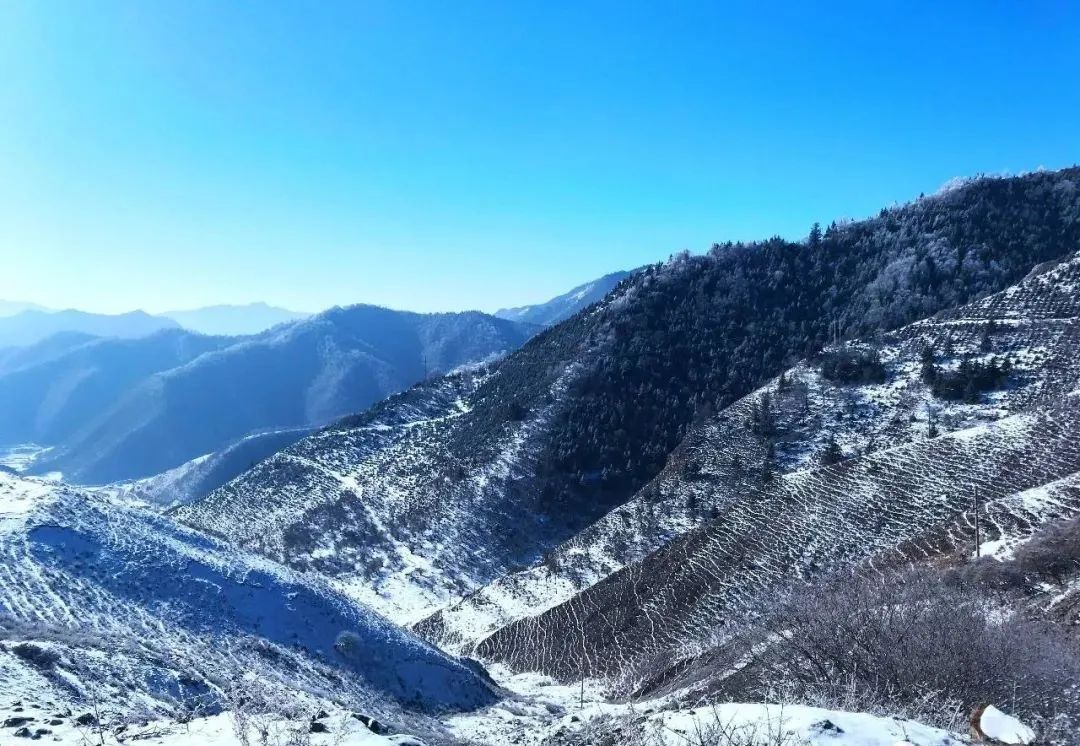 甘南什么意思,甘南县为什么叫甘南县