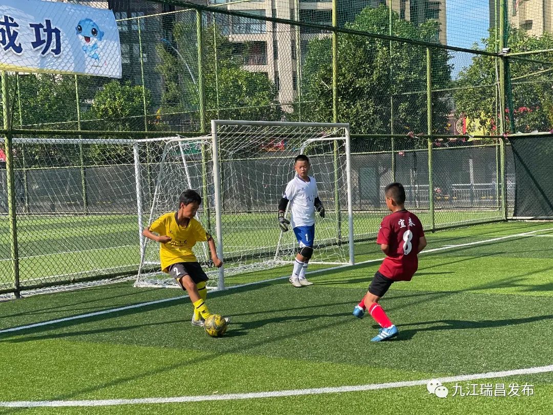 我市体育健儿,我市运动健儿获奖资格