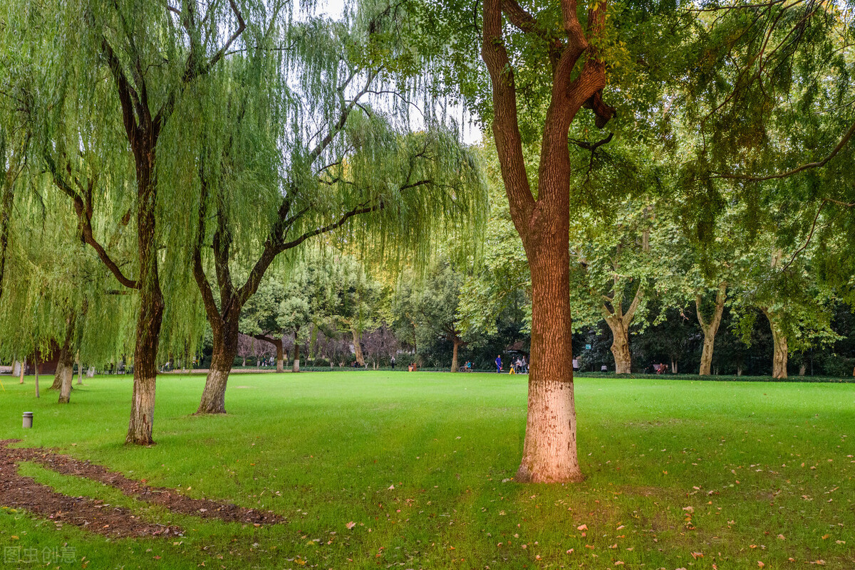 国庆西湖十景,国庆节的西湖风景区