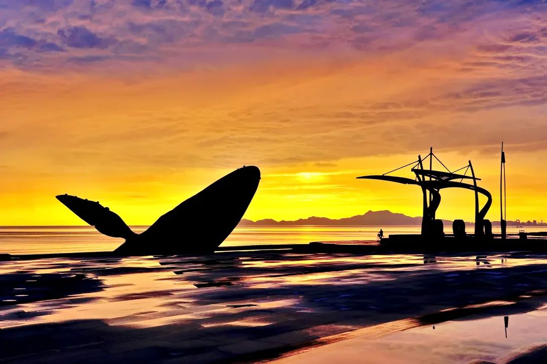 因音乐而感动,因音乐相聚在一起