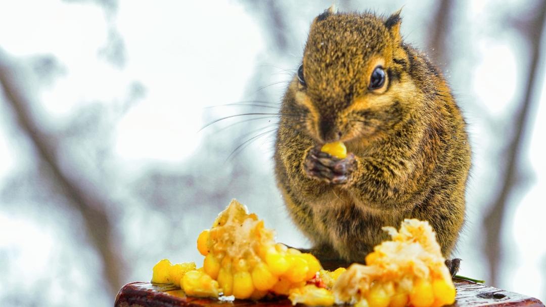 西安周边一日游自驾免费景区,2022全国免费景区一览表