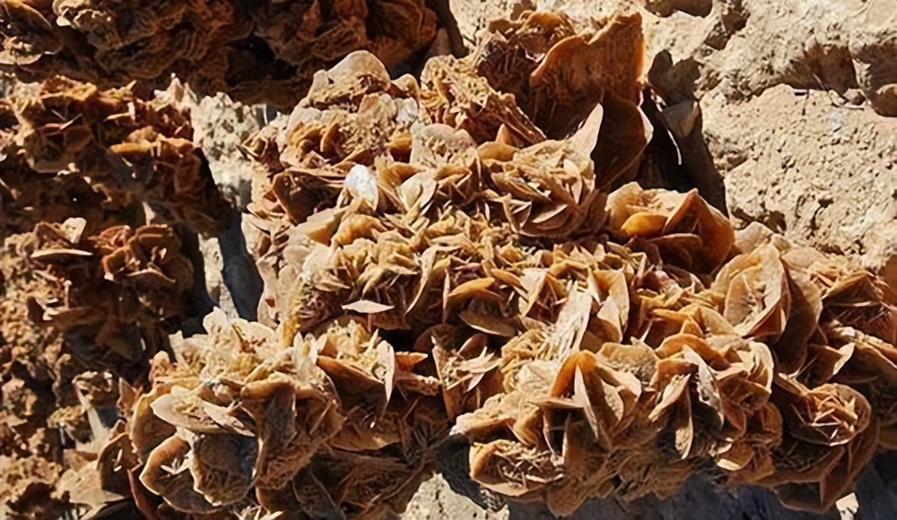 如果去沙漠探险可以带哪些东西,旅行十个地方的石头不能带回来