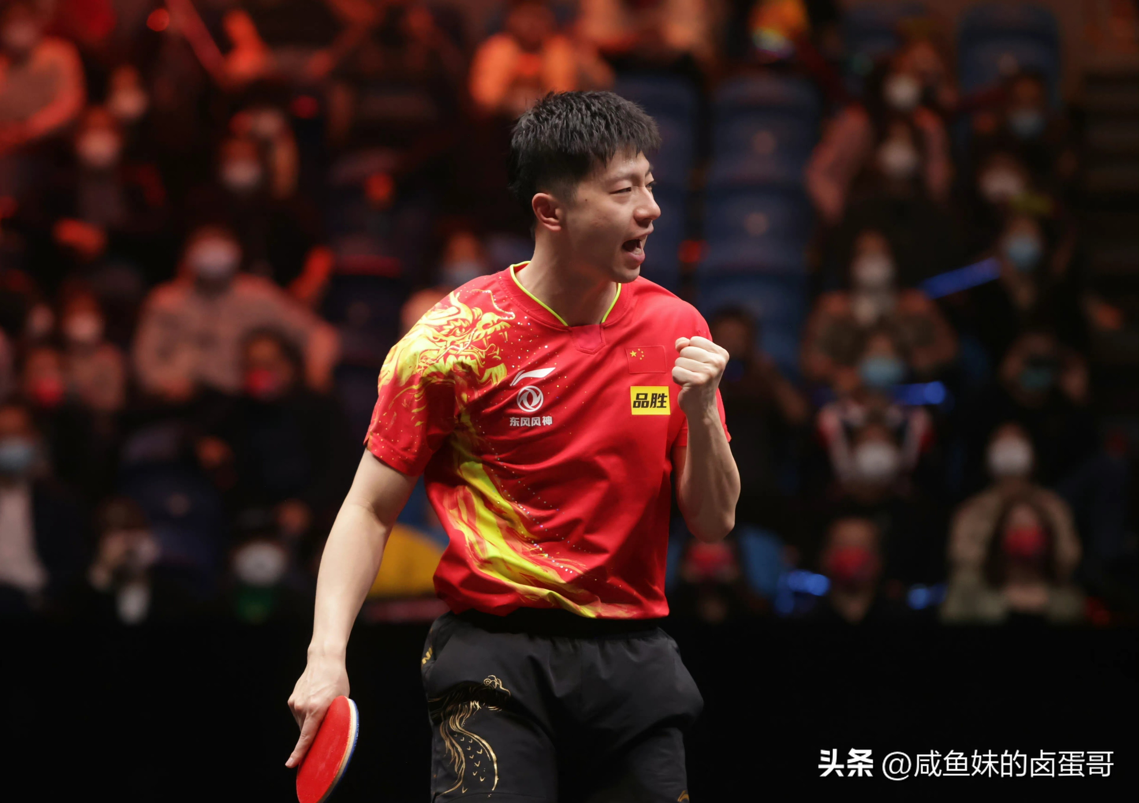 马龙鲁能3-0进乒超男团决赛,山东鲁能乒超夺冠