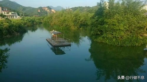 同作逐臣君更远青山万里一孤舟,关于青山万里一孤舟的诗句